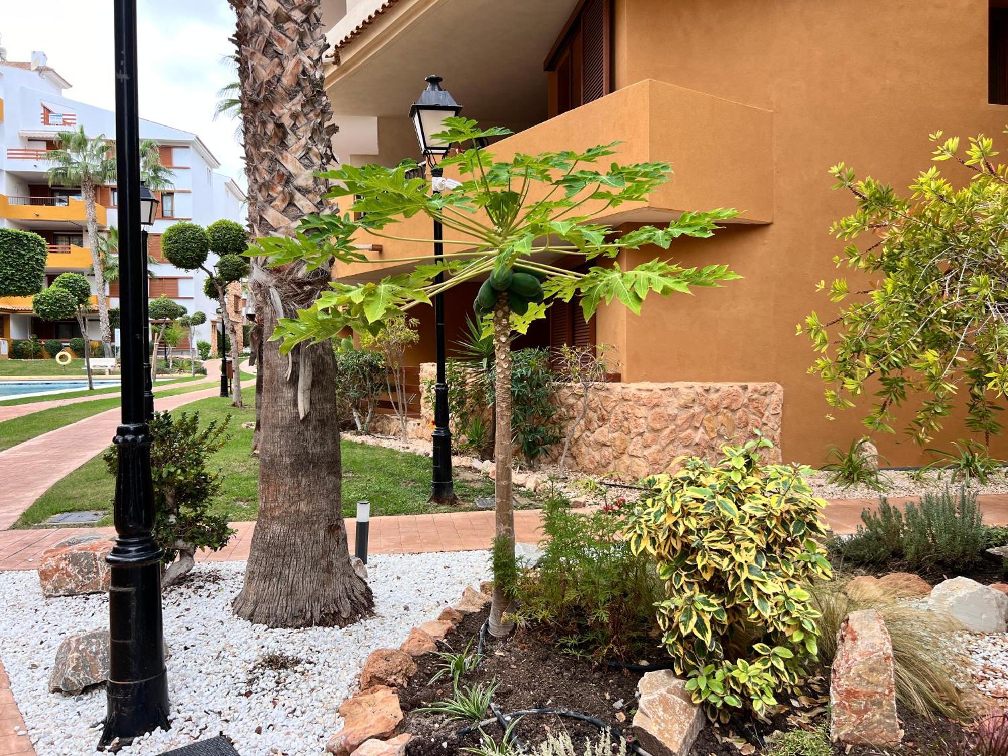 Punta Prima - Sun & Beach & Golf & Bike - Spanish South-Facing Terrace Apartment - La Recoleta - By The Sea Torrevieja Exteriér fotografie